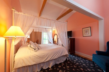 pink room and a canopy bed
