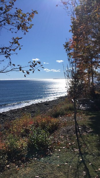 the water from far off with rocks and trees