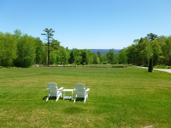 green lawn and trees in the background