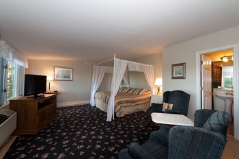 canopy bed and crazy pattern carpets