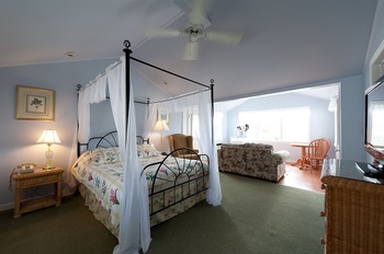 green floor and canopy bed